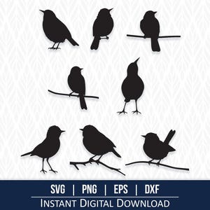 8 silhuetas de pássaros SVG, pássaros SVG - download digital - svg, png, dxf, eps - ótimo para Cricut, Silhouette e cortadores a laser e gravadores