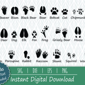 Traces d'animaux SVG, carte d'identification des animaux des bois - parfait pour Cricut, Silhouette, découpe laser et gravure - svg, eps, png, dxf