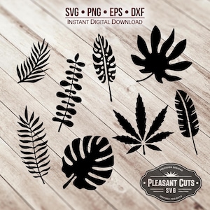 Tropical Leaves SVG, leaf clipart, leaves cut files - Instant Download - svg, png, dxf and eps included! Great for Cricut & Silhouette