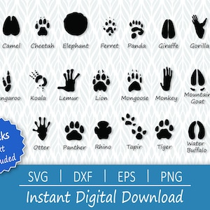 Animal Tracks svg - Download digital instantâneo - svg, png, dxf e eps incluídos!