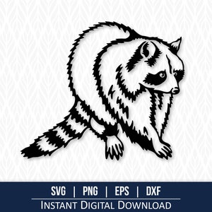 Raccoon SVG - Instant Digital Download - svg, png, dxf and eps included!