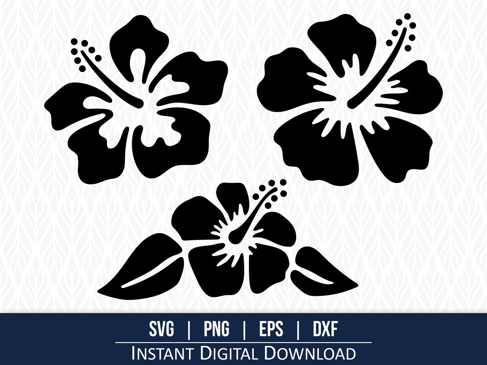 Hibiscus Flower SVG: Tropical Hawaii Cut Files (digital Download) - Etsy