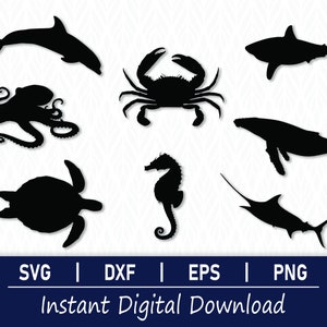 Sea Creature SVG Cut Files: Ocean Animals, Dolphin, Whale (Digital Download)