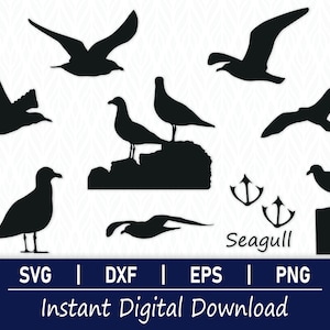 Zeemeeuw SVG, vogels SVG - directe digitale download - inclusief svg, png, dxf en eps!