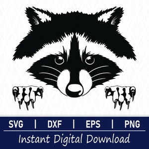 Raton laveur SVG - téléchargement numérique instantané - svg, png, dxf et eps inclus !