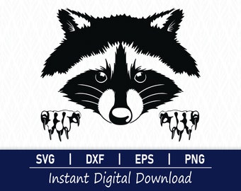 Raccoon SVG - Instant Digital Download - svg, png, dxf and eps included!