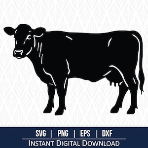May include: A black silhouette of a cow, standing with its head turned slightly to the left. The image is a vector graphic, suitable for digital download. The cow's udder is visible. The bottom of the image includes the text "SVG | PNG | EPS | DXF INSTANT DIGITAL DOWNLOAD".