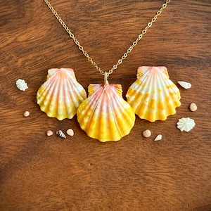 Sunrise Shell Wrapped in 14k Gold Necklace