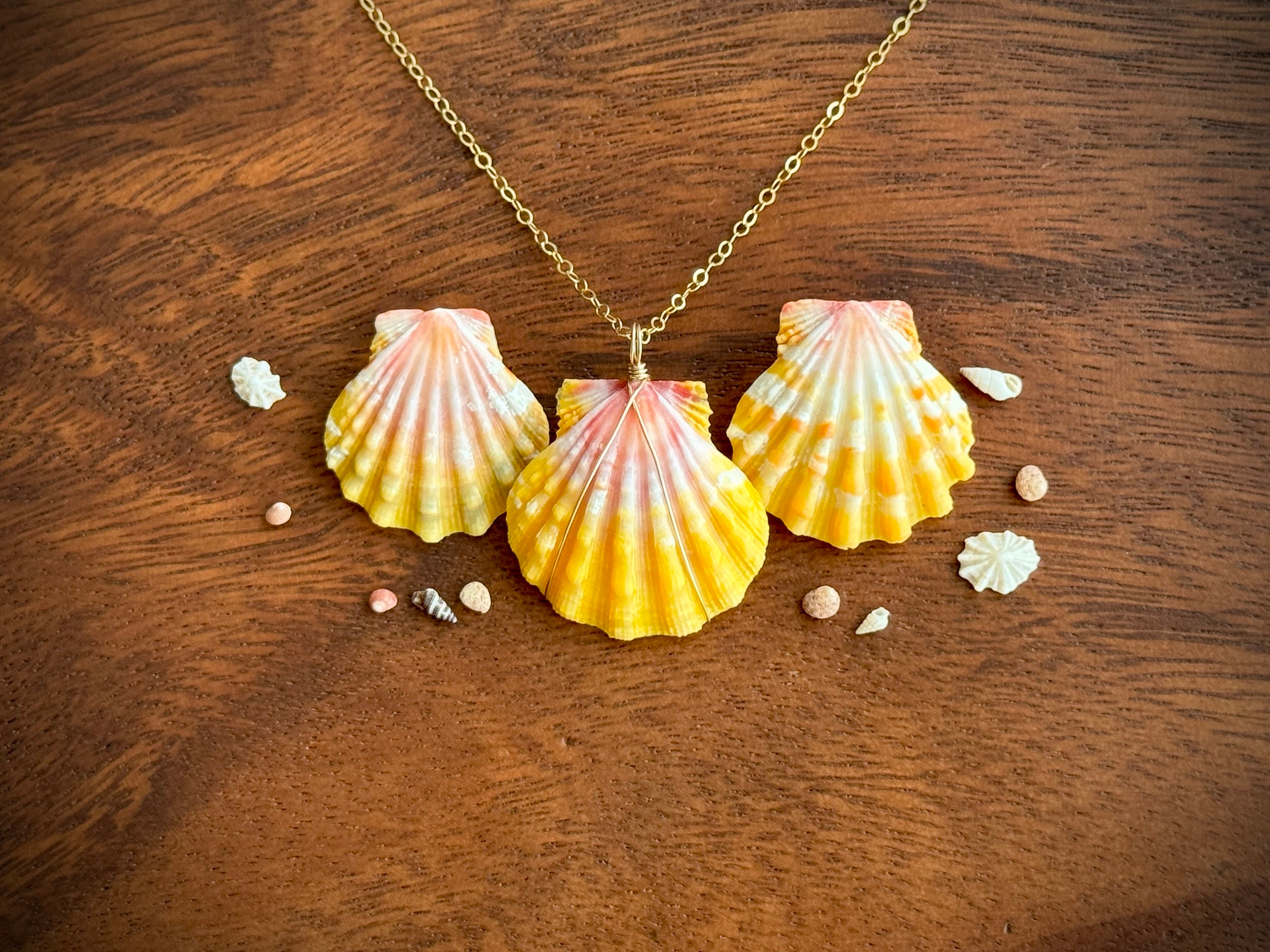 Sunrise Shell Wrapped in 14k Gold Necklace