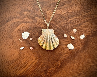 RARE Sunrise Shell (aka Moonrise Shell) 14k Gold Wrapped Necklace