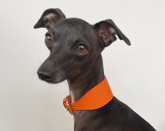Super soft leather Italian Greyhound wide collar. Italian greyhound puppy and adult sizes - Burnt Orange