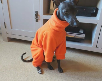 dog fleece onesie