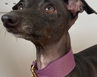 Super soft leather Italian Greyhound wide collar. Italian greyhound puppy and adult sizes - Egg Plant Purple