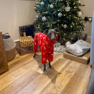 Christmas print *MADE TO ORDER* Italian Greyhound fleece onesie jumper. Iggy jumpsuit. Various sizes and patterns. See listing photos.