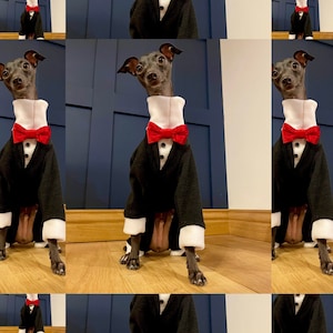 MADE TO ORDER** Italian Greyhound tuxedo dinner suit polar fleece onesie with dickie bow. Iggy jumpsuit. Various sizes available.