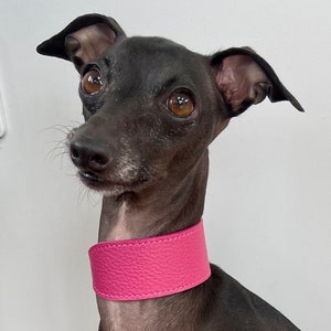 Super weiches Leder Italienisches Windspiel breites Halsband. Italienisches Windspiel in Welpen- und Erwachsenengrößen - Passion Pink