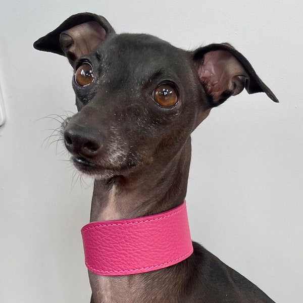 Super soft leather Italian Greyhound wide collar. Italian greyhound puppy and adult sizes - Passion Pink