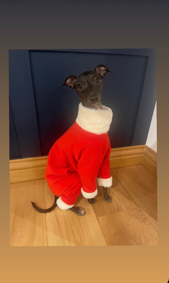 Santa Suit MADE TO ORDER Italian Greyhound Father Christmas Fleece Onesie Jumper. Iggy Jumpsuit. Various Sizes. See Listing Photos. Etsy UK