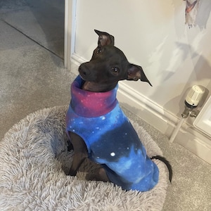 MADE TO ORDER **Italian Greyhound fleece vest jumper. Iggy vest clothing. Various sizes and fleece patterns. See listing photos.