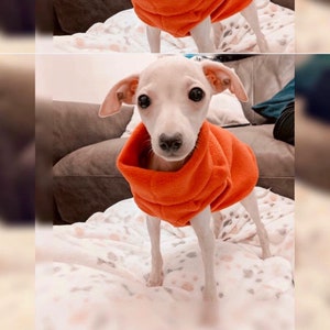 Gilet polaire pour chiot lévrier italien. SUR COMMANDE
