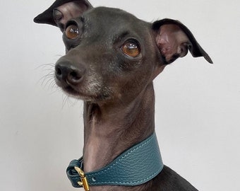 Super soft leather Italian Greyhound wide collar. Italian greyhound puppy and adult sizes - Mallard Green
