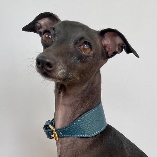 Super soft leather Italian Greyhound wide collar. Italian greyhound puppy and adult sizes - Mallard Green