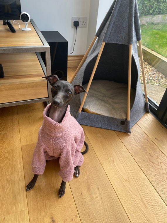 MADE TO ORDER Italian Greyhound Curly Teddy Sherpa Fleece Onesie