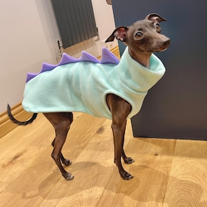 Italian Greyhound Dino Fleece Vest: Custom Iggysaurus Dog Clothing. MADE TO ORDER