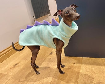 MADE TO ORDER **Italian Greyhound Dino fleece vest jumper. Iggy dinosaur vest clothing. Various sizes and colour options. Iggysaurus vest.