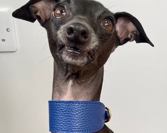 Super soft leather Italian Greyhound wide collar. Italian greyhound puppy and adult sizes - Indian Ocean Blue