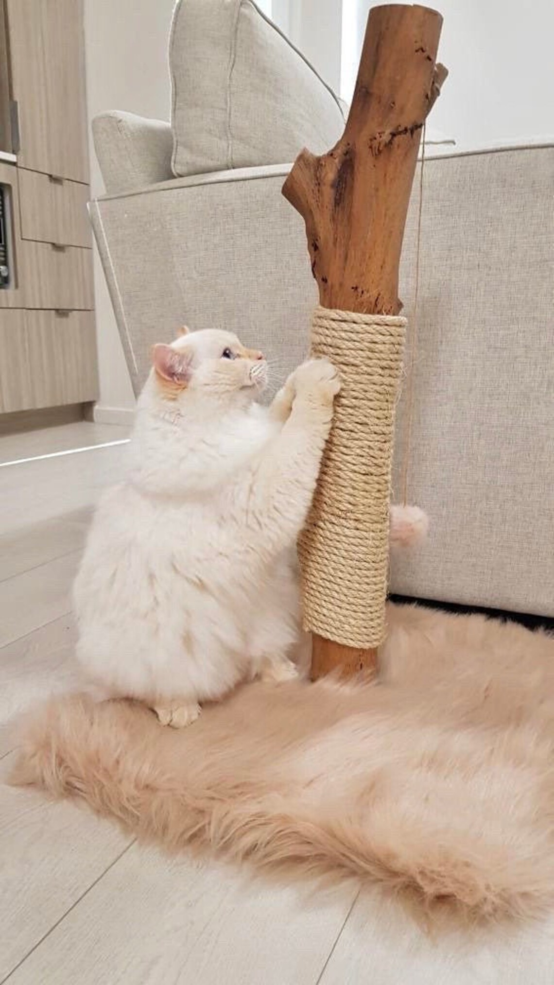 Natural Real Wood Wooden Cat Scratcher Sisal Scratching Post Etsy