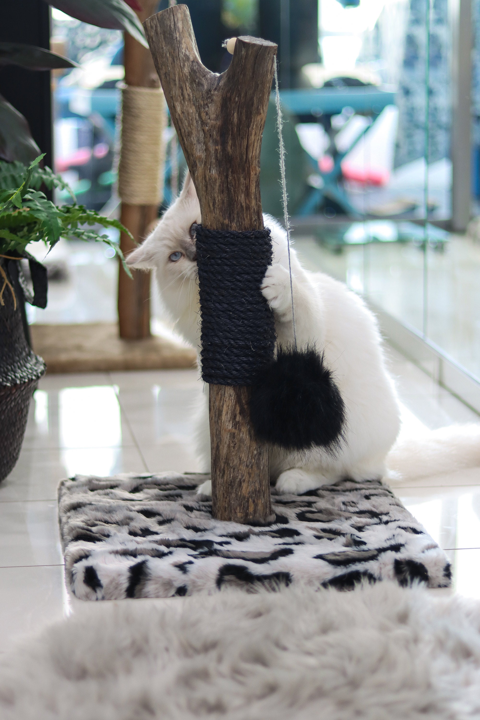 Natural Real Wood Wooden Cat Scratcher Sisal Toy Scratching Etsy