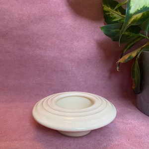 May include: A white ceramic planter with a wide, shallow bowl and a ringed design. The planter is sitting on a pink surface.