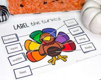 Label the Turkey, Turkey Printable for Kids, Thanksgiving Activity, Preschool Curriculum, Homeschool Printable