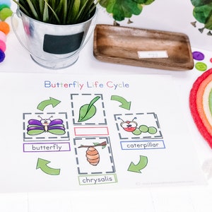 Butterfly Life Cycle, Butterfly Printable for Kids, Hungry Caterpillar, 3 Part Cards, Printable Puzzles for Kids,  Preschool Printable