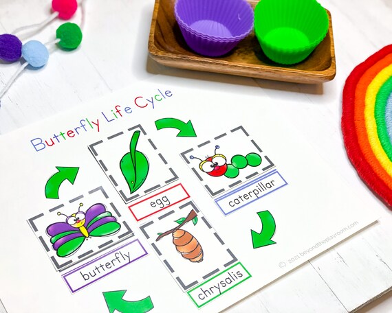 Butterfly Life Cycle Butterfly Printable for Kids Hungry | Etsy
