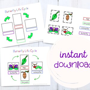 Butterfly Life Cycle Butterfly Printable for Kids Hungry | Etsy