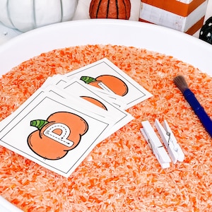 May include: A white tray filled with orange rice and several white cards with a pumpkin and the letter "P" printed on them. There are also two white clothespins and a blue paintbrush in the tray.