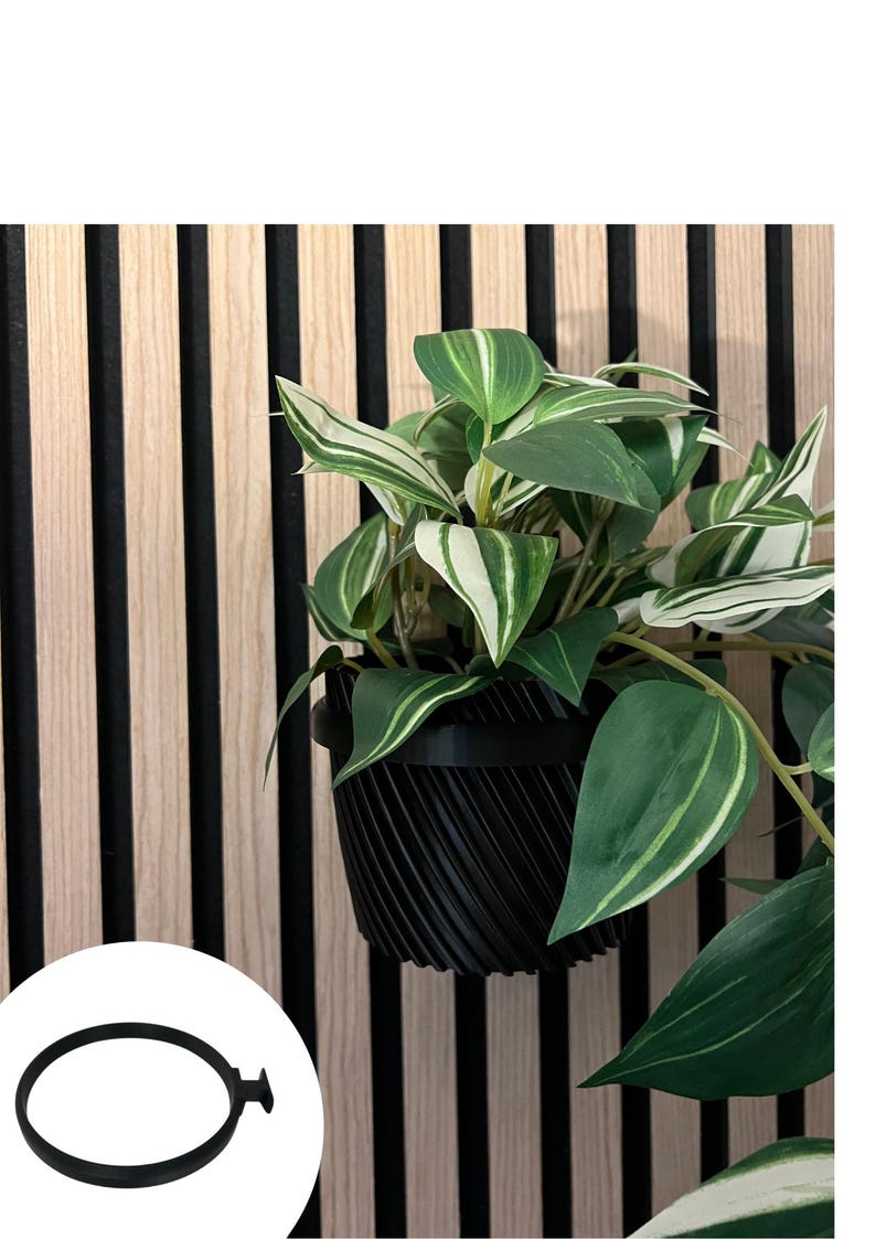 Vleugel Doppelgarderobenhaken Für Akustikwandpaneele – 10 Mm – Passgenau Für Akupanels Mit 13 Mm Lamellenabstand, Inkl. Schrauben – Kunststoff In Carbon-Optik – 1 Stück