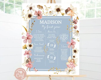 Editable Fairy Baby's First Year Photo Poster Milestone Daisy 1st Year Photo Collage Fairy Party 12 Month Instant Download W5555