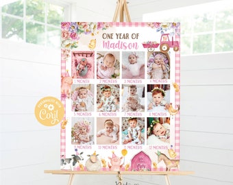 Editable First Year Baby Girl Farm, Photos Poster, Milestone First Year Collage, Baby Girl Farm Party 12 Months Instant Download FARM11