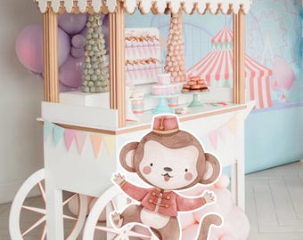 BIG DECOR ZIRKUS: Baby-Dusche-Dekoracje karnawalowe, Babyparty-Dekoracje, dekorative Babyparty-Dekor, rosa Blumen CIR1