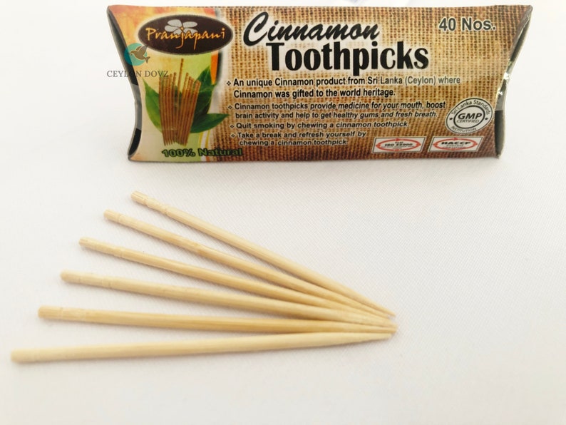 Ceylon Cinnamon Toothpicks Handmade Natural Organic Toothpick Free