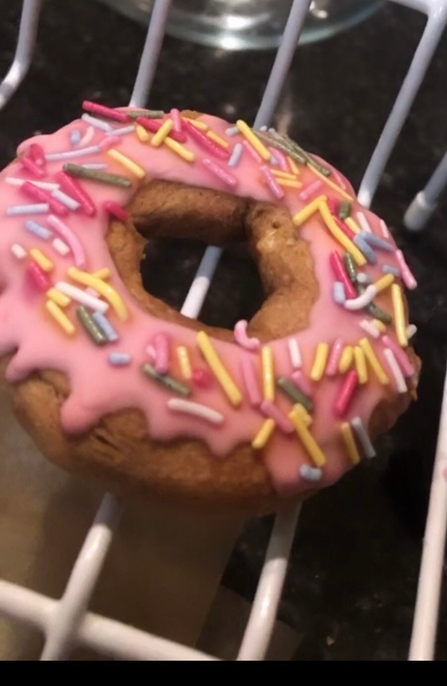 Horse & Doggy Donuts Etsy