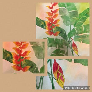 Digital Heliconia (Lobster Claw) Rhizome Watercolor Painting