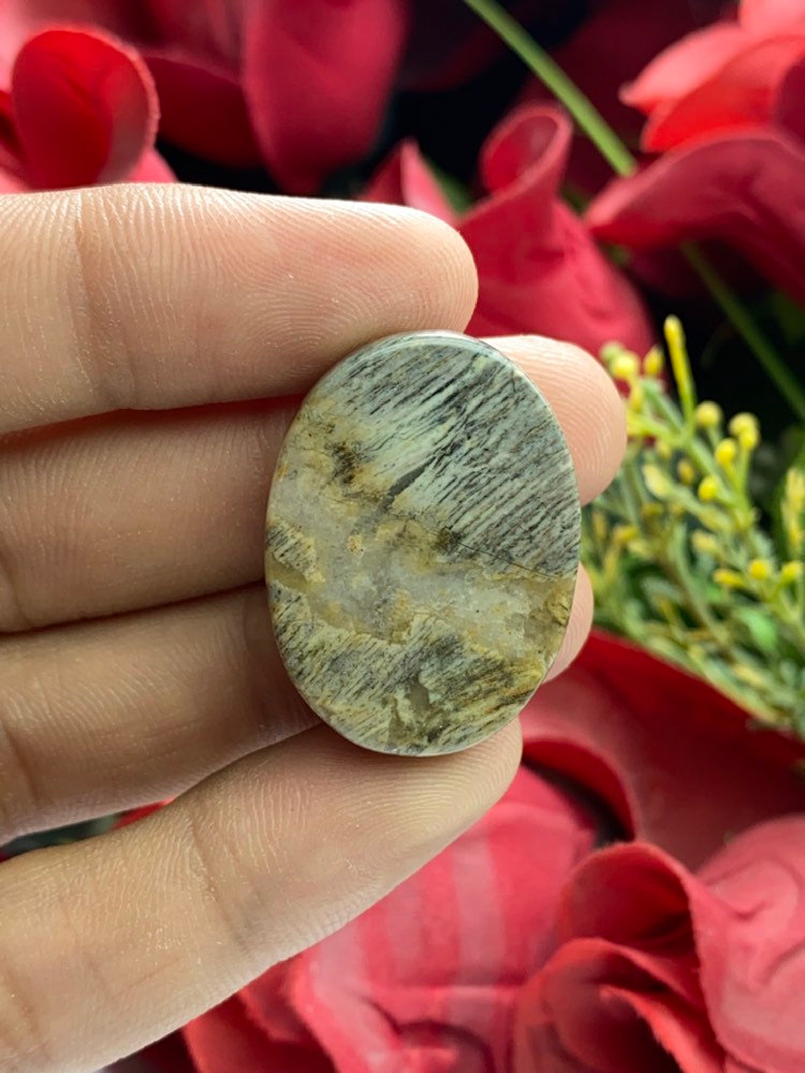 Silver Leaf JasperSilver Leaf Jasper CabochonSilver Etsy