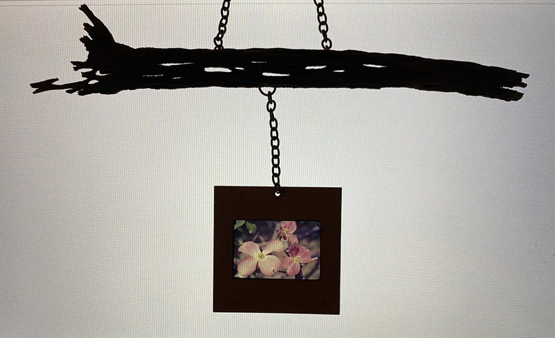 Mixed Media Mobile with Vintage 35mm Slide on Organic Wild Cholla Wood Dogwood Flower Suncatcher