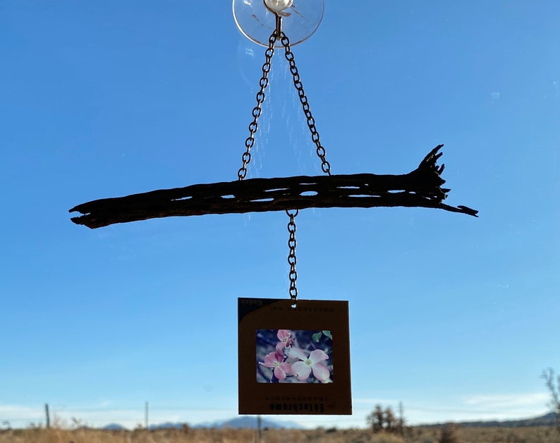 Mixed Media Mobile with Vintage 35mm Slide on Organic Wild Cholla Wood Dogwood Flower Suncatcher