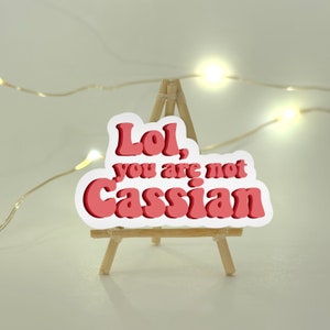 Adesivo ACOTAR, Sarah J Mass,LOL non sei Cassian, adesivo Bat Boys, Fantasia, Adesivo Kindle, Merch di libri, Feyre, Cassian, ali di pipistrello