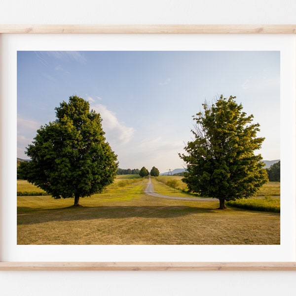 New York Photography Print, Fine Art Photo, Landscape, Nature, Green, Garden, Field, Trees, Storm King Art Center, Upstate New York